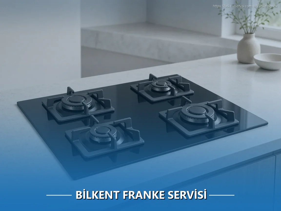 Bilkent Franke Servisi