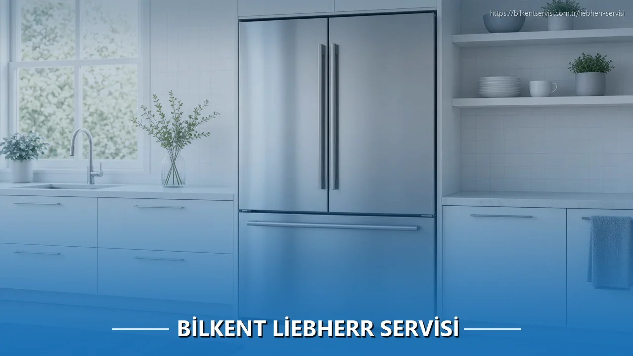 Bilkent Liebherr Servisi