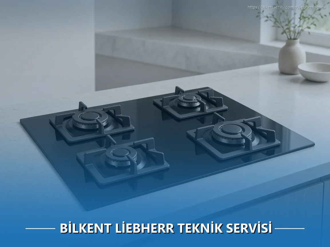 Bilkent Liebherr Teknik Servisi